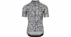 Assos Maillot Manches Courtes Mille GT C2